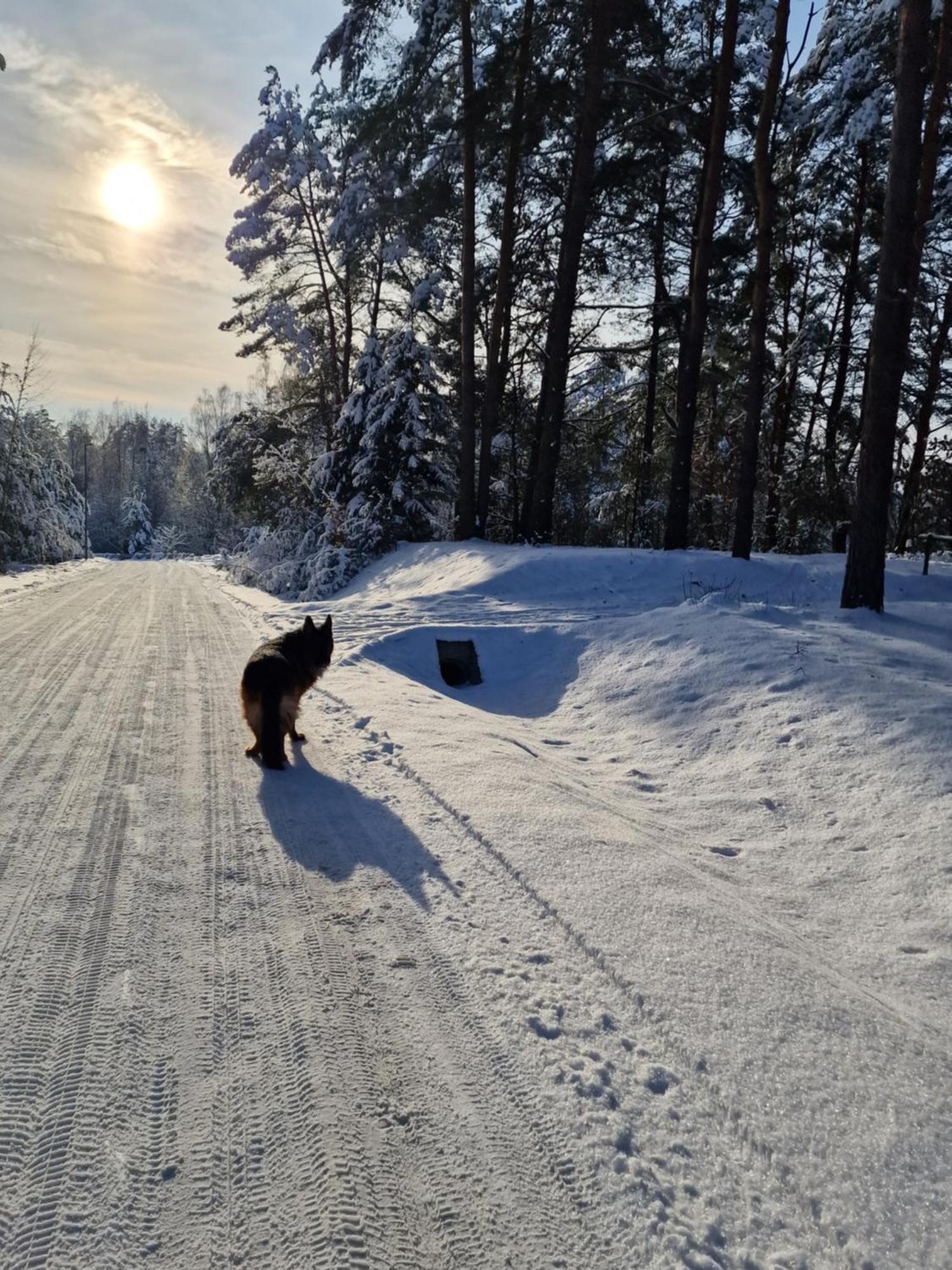 Apartamenty Mazury Mrągowo Dış mekan fotoğraf