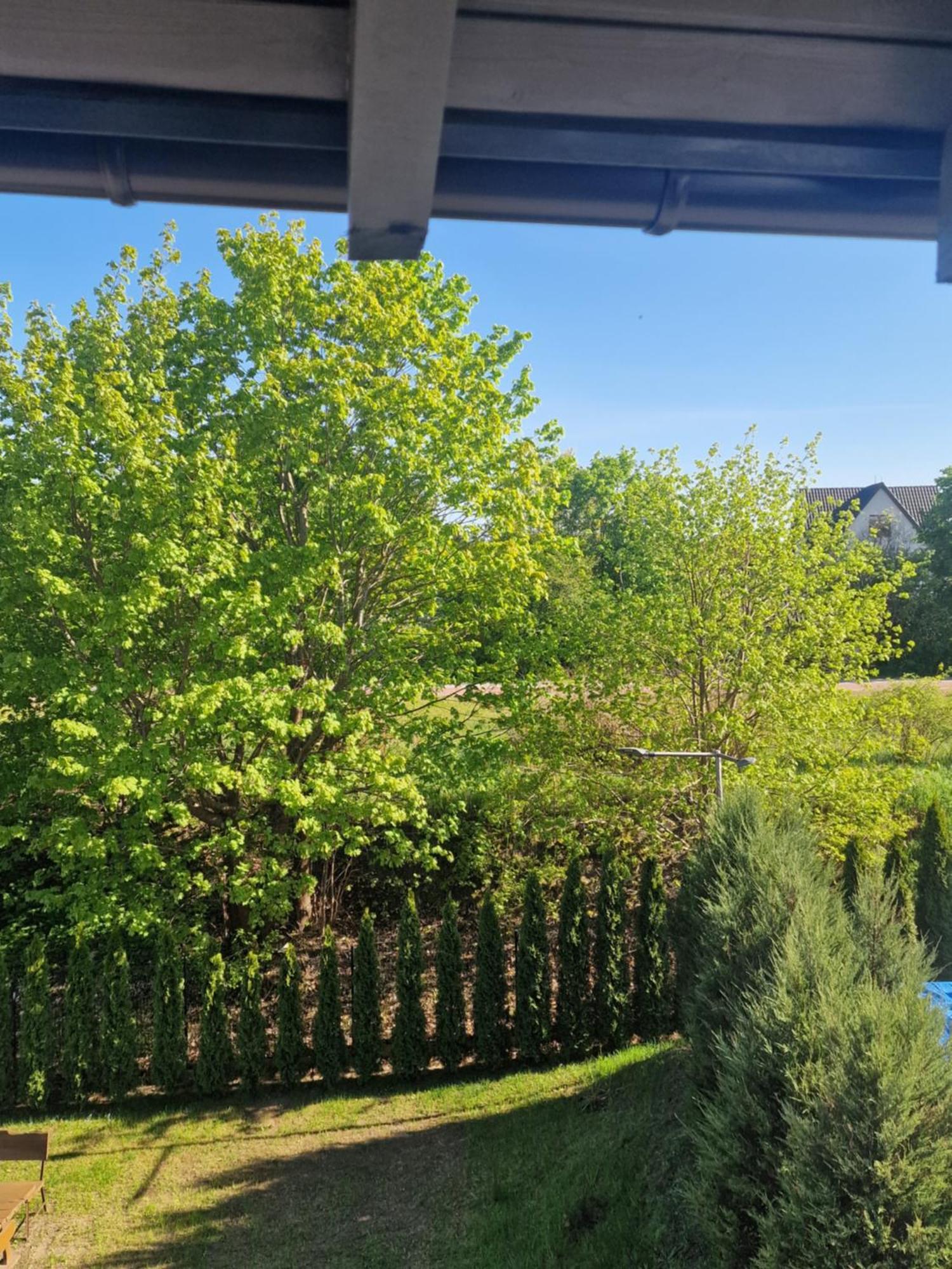 Apartamenty Mazury Mrągowo Dış mekan fotoğraf