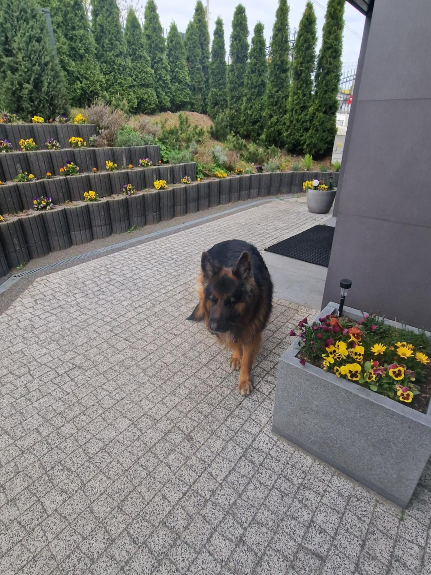 Apartamenty Mazury Mrągowo Dış mekan fotoğraf