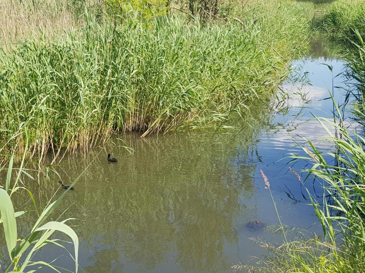 Apartamenty Mazury Mrągowo Dış mekan fotoğraf
